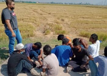 SERAMAI 26 lelaki ditahan selepas disyaki terlibat dalam aktiviti penagihan dadah semasa serbuan di kawasan sawah padi di Permatang Tok Jaya, Butterworth, Pulau Pinang semalam.