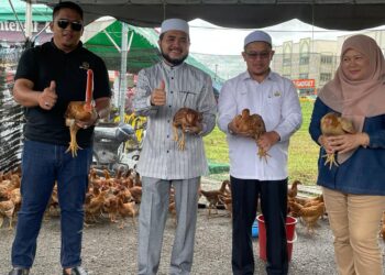 NIK Muhammad Zawawi Salleh ( dua dari kiri) bersama Tuan Mohd. Saripudin (dua kanan) bersama ayam organik yang diagihkan kepada peserta ternakan organik komuniti pada Majlis Penyerahan Bantuan Program Ternakan Dan Pertanian Organik Ternakan Peringkat Negeri Kelantan di Bandar Tok Janggut, Pasir Puteh, Kelantan, hari ini. - UTUSAN/TOREK SULONG