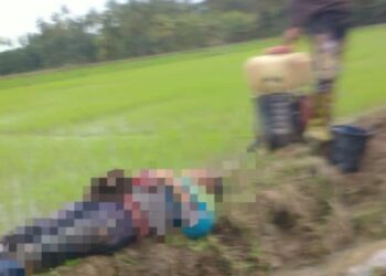 KEADAAN pesawah yang ditemukan meninggal dunia di atas batas sawah berhampiran Tanah Perkuburan Islam Masjid Tinggi di Jalan Banjar, Bagan Serai, Perak, hari ini. - FOTO/MEDIA SOSIAL