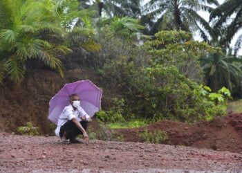 SULONG Hasan mengenang nasibnya yang tidak mampu tanam semula sawit kerana kos terlalu tinggi sehingga mencecah RM150,000 di Felda Bukit Goh di Kuantan, Pahang. - FOTO/SHAIKH AHMAD RAZIF