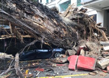 ANTARA kereta dihempap pokok berhampiran Hotel Sky, Kuala Lumpur pagi tadi.