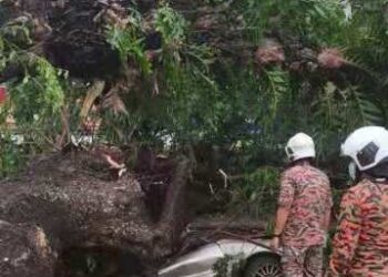 ANGGOTA bomba sedang membantu mengeluarkan mangsa yang terperangkap di dalam sebuah kereta yang dihempap sebatang pokok di Jalan Perak, Jelutong, Pulau Pinang.