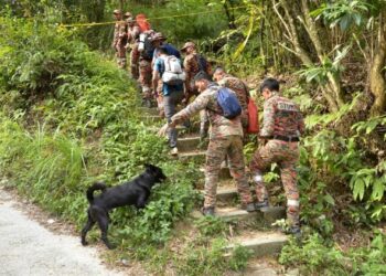 ANGGOTA bomba masuk ke lokasi mangsa yang hilang semasa aktiviti pendakian untuk dibawa turun ke kaki bukit di Ipoh hari ini. - FOTO/ZULFACHRI ZULKIFLI