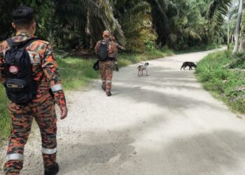 ANGGOTA bomba menjalankan operasi mencari dan menyelamat warga emas yang dilaporkan hilang di kawasan pantai Pasir Panjang, Segari, Perak. - FOTO/IHSAN JBPM