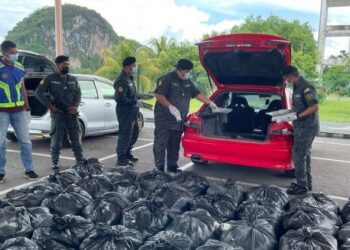 AZIZAN Saman (dua dari kanan) menunjukkan daun ketum yang dirampas Aksem Perlis di pejabat Aksem Chuping, Padang Besar, Perlis hari ini. - UTUSAN