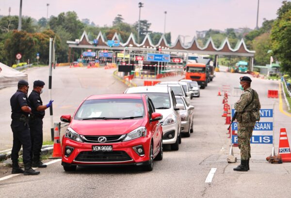 Harimau Bintang Terlepas Dari Kandang Penduduk Dilanda Ketakutan Syarikat Penangkapan Haiwan Kacau Ganggu Lillianghert