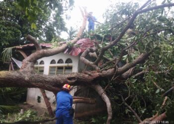 SALAH sebuah rumah yang rosak selepas ditimpa pokok tumbang dalam kejadian ribut di daerah Kuala Muda dekat Sungai Petani, Kedah,  petang ini.