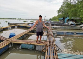 HENG See Yong menunjukkan sangkar ikan yang masih tinggal selepas dihanyutkan arus Sungai Perak dalam kejadian Isnin lalu. – MEDIA SOSIAL