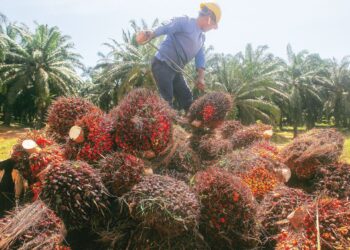 PENINGKATAN harga komoditi memerlukan kerajaan untuk menyediakan peruntukan subsidi tambahan bagi membendung inflasi. - GAMBAR HIASAN