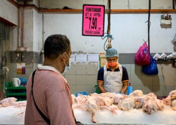 SEORANG pelanggan  melihat ayam segar yang dijual dengan harga RM7.90 sekilogram dalam tinjauan di sebuah pasar raya di Kuchai Lama di Kuala Lumpur, hari ini. - UTUSAN/MUHAMAD IQBAL ROSLI