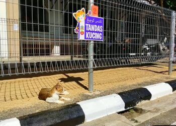 TANDAS kucing yang disediakan MDPM di Pasar Tasek Raja, Pasir Mas, Kelantan. - UTUSAN/YATIMIN ABDULLAH