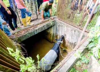 KEADAAN tapir jantan yang terjatuh di sebuah longkang sebelum diselamatkan di Kampung Kubang Miang, Dungun, Terengganu,  hari ini. - UTUSAN/NIK NUR IZZATUL HAZWANI NIK ADNAN