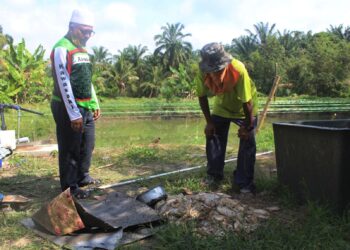 MOHD. Fazrul Mohd. Saad (kanan) dan Muhazam Mohamad melihat sebahagian daripada kira-kira 4,000 ikan tilapia diternak mereka yang mati di Kampung Pondoi, Tampin, Negeri Sembilan semalam. 
– UTUSAN/NOR AINNA HAMZAH