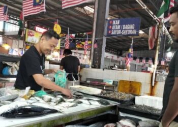 Ikan rakyat seperti ikan sardin didakwa berkurangan ketika ini. - Gambar hiasan