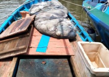 SEBUAH bot nelayan yang diubah suai bagi menjalankan aktiviti penyeludupan minyak ditahan oleh Maritim Malaysia di muara Kuala Perlis, semalam.