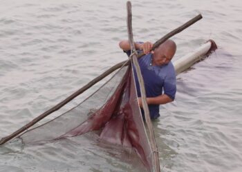 NELAYAN, Amir Hamzah menangkap udang geragau di kawasan Pantai Puteri, Tanjung Kling, Melaka pada 8 September lalu. – UTUSAN/RASUL AZLI SAMAD