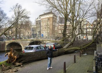 PEJALAN kaki menunjukkan pokok tumbang di Amsterdam selepas dilanda ribut Eunice.-AFP