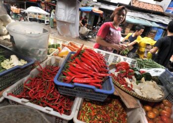 HARGA cili kering di Indonesia dilaporkan meningkat sehingga 70,000 rupiah. - AFP