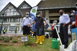 Mardi Tubuh Pusat Penyelidikan Pertanian Hijau Tanah Tinggi Utusan Digital