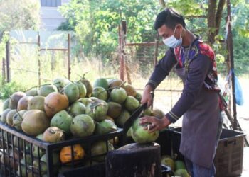 ISMAIL Md. Isa menjual air kelapa  di tepi jalan berhampiran pekan Balik Pulau  UTUSAN  /MOHAMMAD FIRDAUS AMRAN