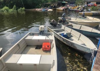 Kemunculan tompokan hijau terapung di permukaan air di tepi Sungai Melayu, Nusajaya.  Gambar JAS Johor