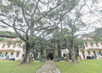 Kampus Institut Penyelidikan Perhutanan Malaysia (FRIM) di Kepong. - GAMBAR HIASAN