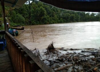 TIMBUNAN reba ranting kayu yang masih tersadai di bawah rakit terapung De Tempan akibat arus banjir Sungai Tembeling di Kampung Tempan, Jerantut. – UTUSAN/HARIS FADILAH AHMAD