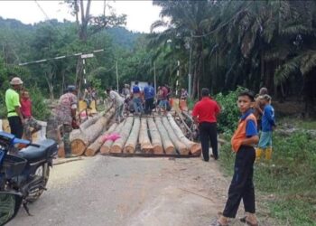 SEBAHAGIAN penduduk bergotong-royong membaik pulih jambatan anak Sungai Beletir yang rosak sebagai laluan sementara di Kampung Sungai Putat di Jerantut, Pahang. – UTUSAN/HARIS FADILAH AHMAD