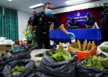 ACP Wan Kamarul Azran Wan Yusof (tengah) menunjukkan sebahagian rampasan ketum bernilai RM25,000 dalam sidang akhbar di Ibu Pejabat Polis Daerah Sepang di sini, hari ini. - UTUSAN/FAISOL MUSTAFA