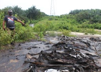 ZAIDIN Zainal Abiden karung yang hampir mereput mengandungi sisa sawit
yang ditemui penduduk di dalam ladang kelapa sawit yang terletak bersempadan di antara Kampung Pasir Besar dengan Felda Pasir Besar, Tampin. UTUSAN /NOR AINNA HAMZAH